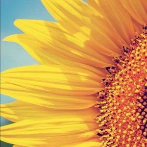 Meet your Posher, Cody